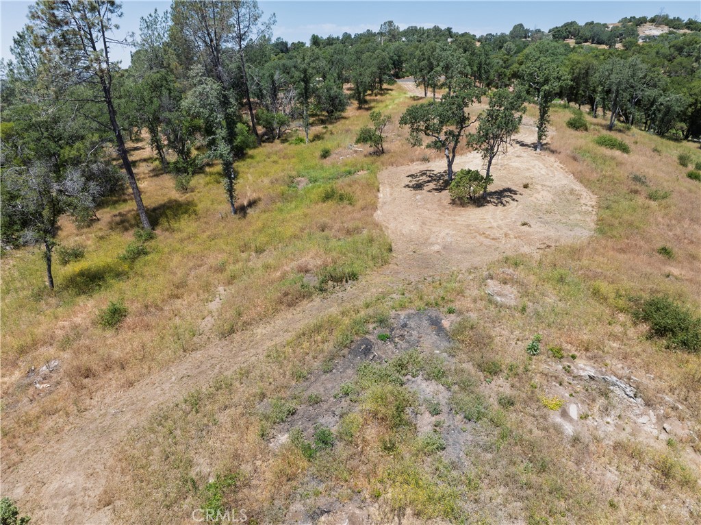 3 Acres Serendipity Lane
