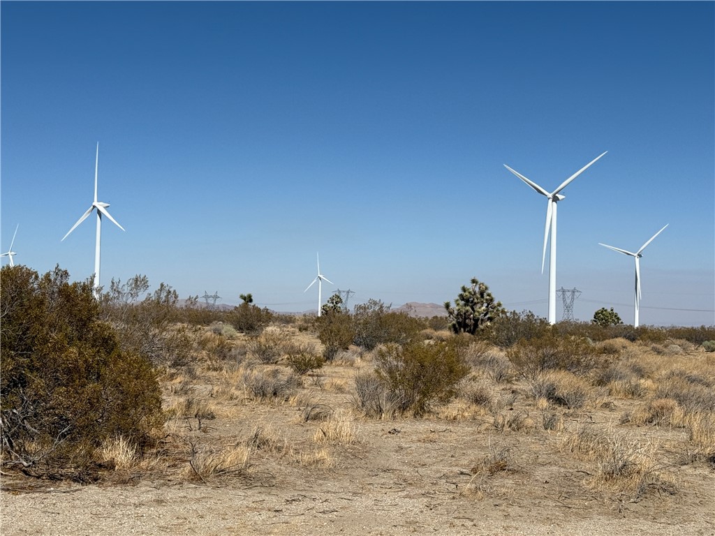 Excellent opportunity to own 10 acres of land located near the intersection of Rosamond Blvd and 170th St West, near the Base of the Foothills in Rosamond. This parcel is situated in an area with wind energy production, with multiple windmills in the vicinity. The property includes a fully operational lease, potentially generating annual income through 2041. Buyer(s) will assume the existing lease as part of the sale. Please Note: The Seller will retain all mineral rights associated with the property. Don't miss this chance to invest in a unique parcel with long-term income potential in a renewable energy corridor area.