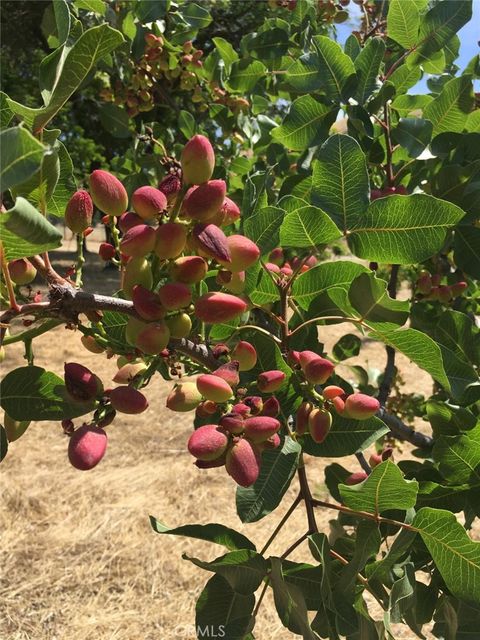 Tiny photo for 3470 Ranchita Cyn Rd Rd, San Miguel, CA 93451 (MLS # NS26078742)