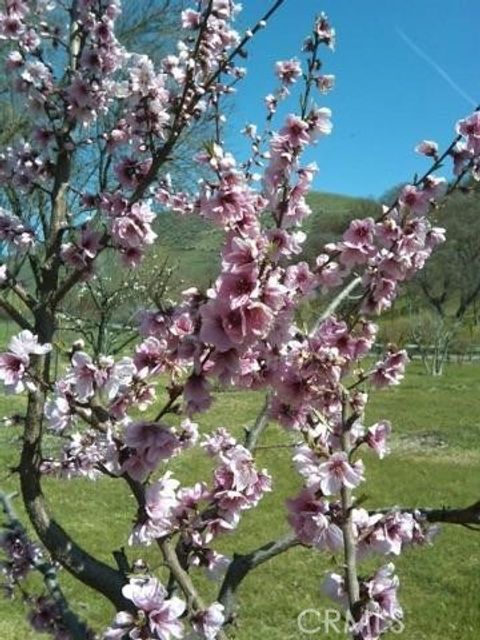 Tiny photo for 3470 Ranchita Cyn Rd Rd, San Miguel, CA 93451 (MLS # NS26078742)