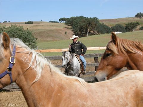 Tiny photo for 3470 Ranchita Cyn Rd Rd, San Miguel, CA 93451 (MLS # NS26078742)