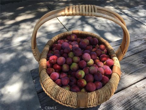 Tiny photo for 3470 Ranchita Cyn Rd Rd, San Miguel, CA 93451 (MLS # NS26078742)