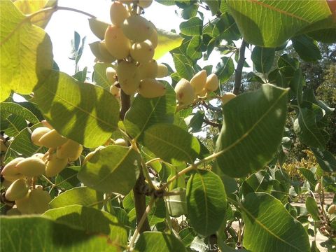 Tiny photo for 3470 Ranchita Cyn Rd Rd, San Miguel, CA 93451 (MLS # NS26078742)