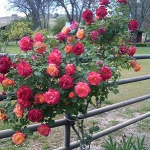 Tiny photo for 3470 Ranchita Cyn Rd Rd, San Miguel, CA 93451 (MLS # NS26078742)