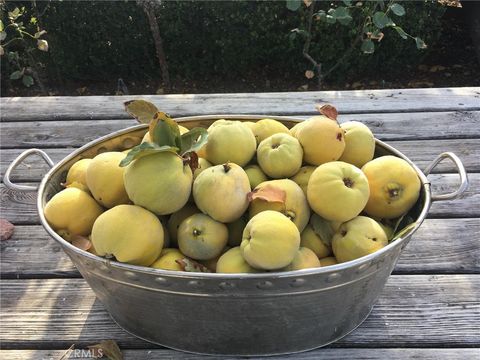 Tiny photo for 3470 Ranchita Cyn Rd Rd, San Miguel, CA 93451 (MLS # NS26078742)