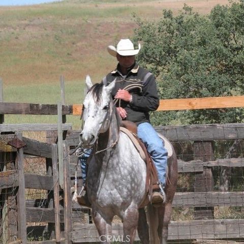 Tiny photo for 3470 Ranchita Cyn Rd Rd, San Miguel, CA 93451 (MLS # NS26078742)