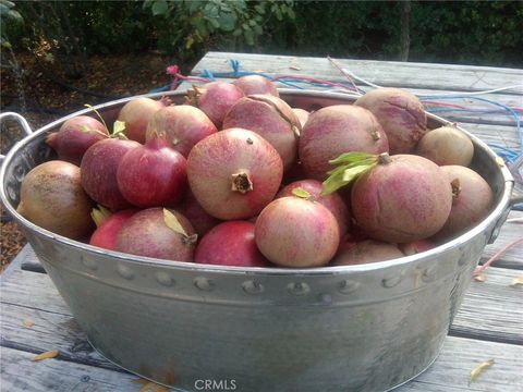 Tiny photo for 3470 Ranchita Cyn Rd Rd, San Miguel, CA 93451 (MLS # NS26078742)