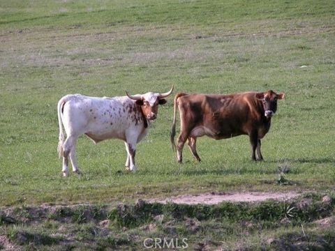 Tiny photo for 3470 Ranchita Cyn Rd Rd, San Miguel, CA 93451 (MLS # NS26078742)