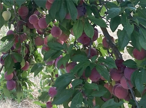 Tiny photo for 3470 Ranchita Cyn Rd Rd, San Miguel, CA 93451 (MLS # NS26078742)