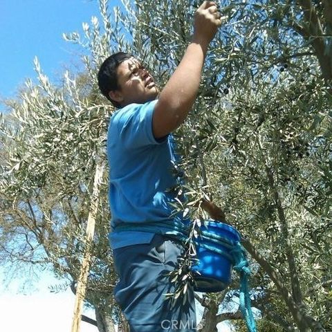 Tiny photo for 3470 Ranchita Cyn Rd Rd, San Miguel, CA 93451 (MLS # NS26078742)