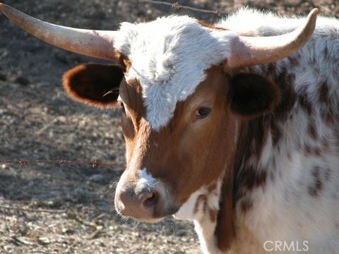 Tiny photo for 3470 Ranchita Cyn Rd Rd, San Miguel, CA 93451 (MLS # NS26078742)