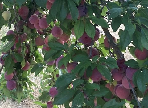 Tiny photo for 3470 Ranchita Cyn Rd Rd, San Miguel, CA 93451 (MLS # NS26078742)