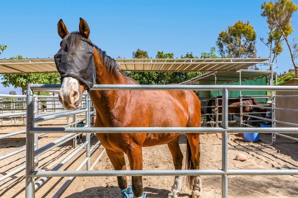 Leisure World (LW) - Residential