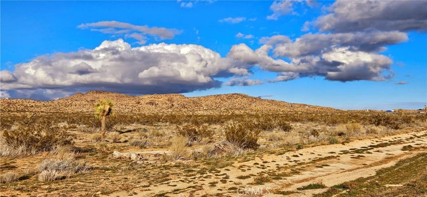 Over 9.5 acres of raw land for sale in Adelanto! This location is rural with buttes near by. Drive by and check it out for yourself before someone else does, invest today! More parcels will be available for sale in the same area by the same owners, coming soon! APN: 0461-035-29-0000. Latitude: 34.714341, Longitude:-117.660586.