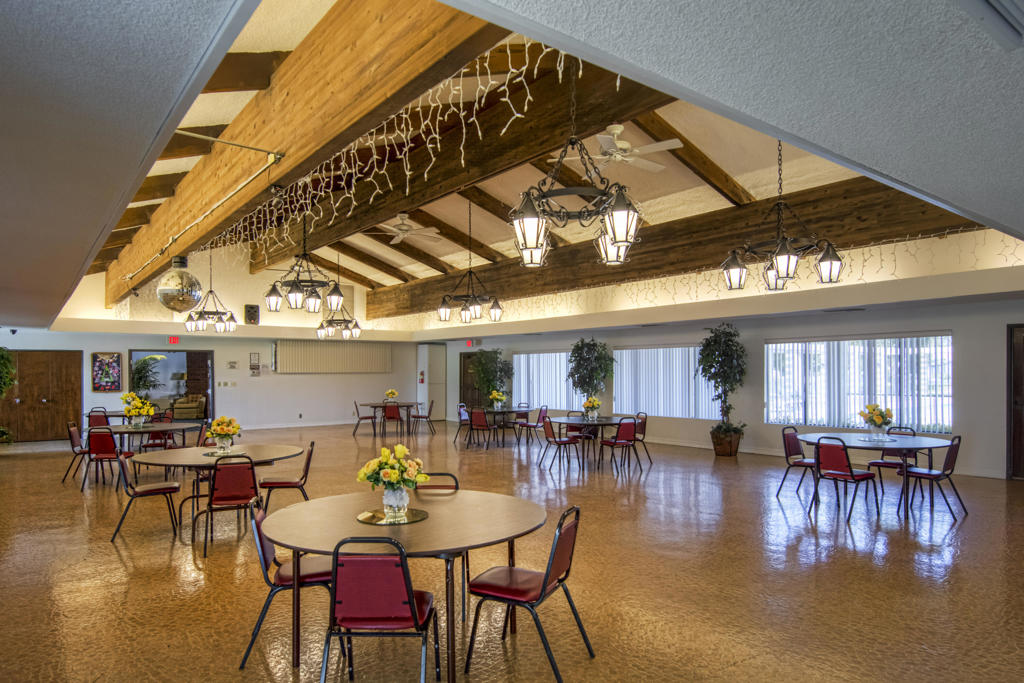 The Canyon - Manufactured In Park