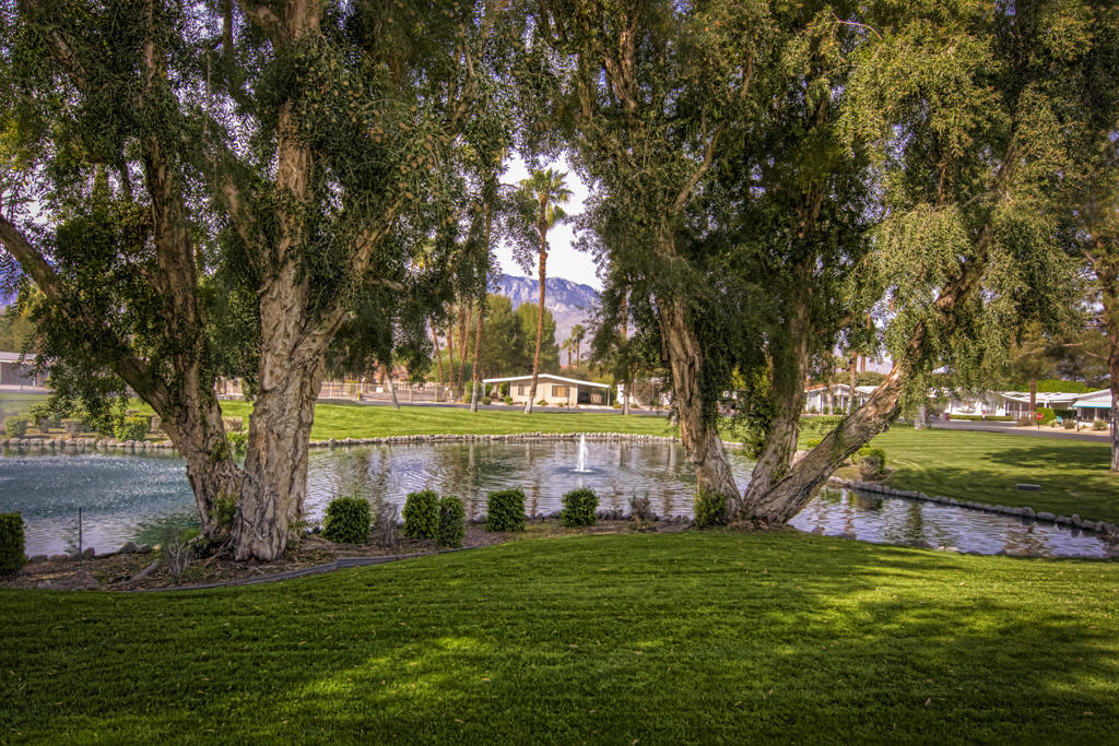 The Canyon - Manufactured In Park