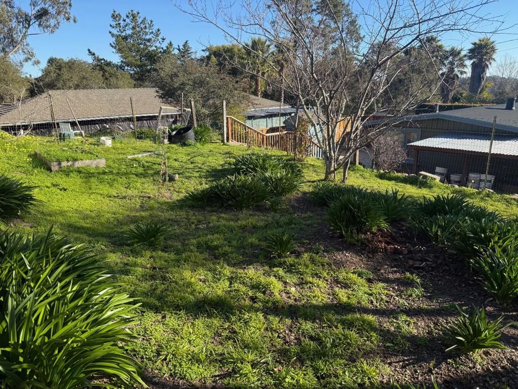 listing image 130727742500898290702