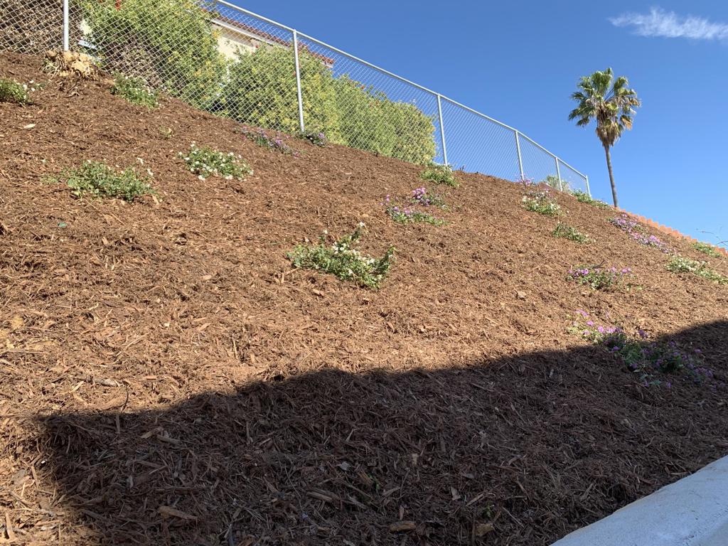 Skyline Estates - 1636 - Residential