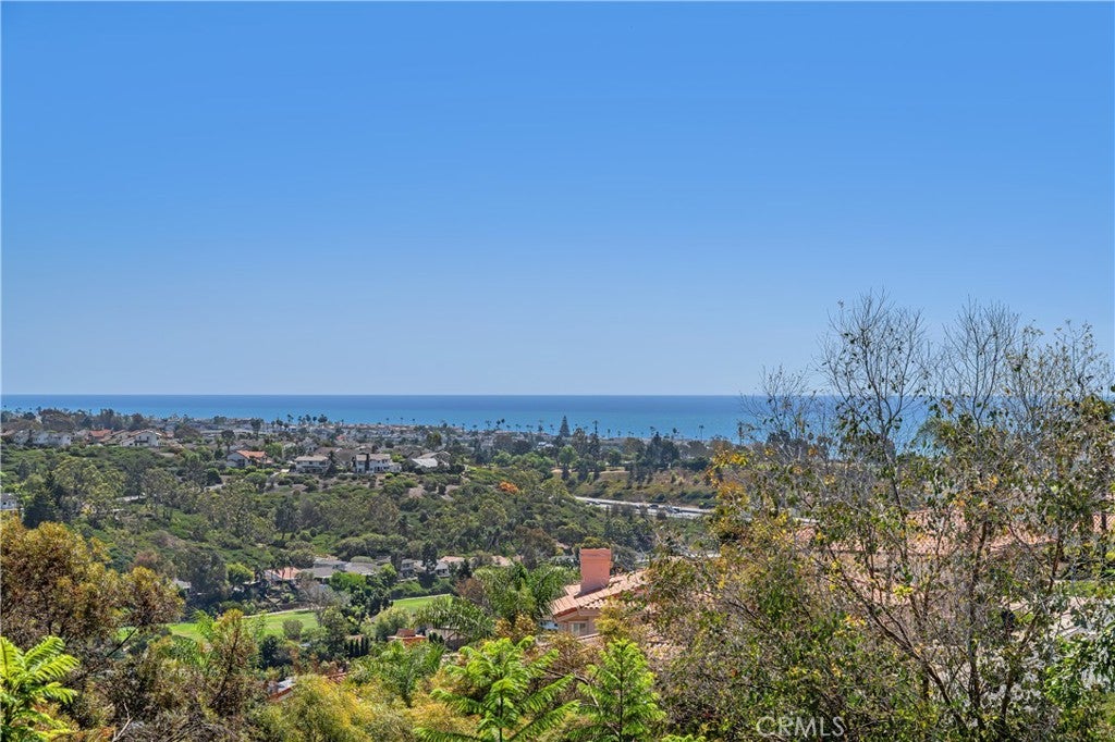 14 Marana, San Clemente CA 92673 - Photo 31
