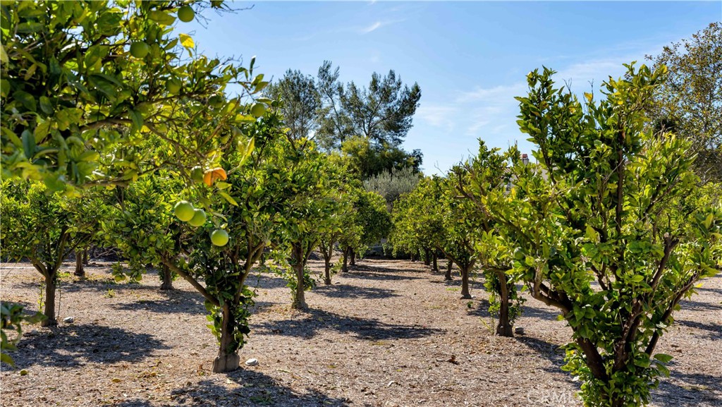 Covenant Hills Custom Homes (COVC) - Residential