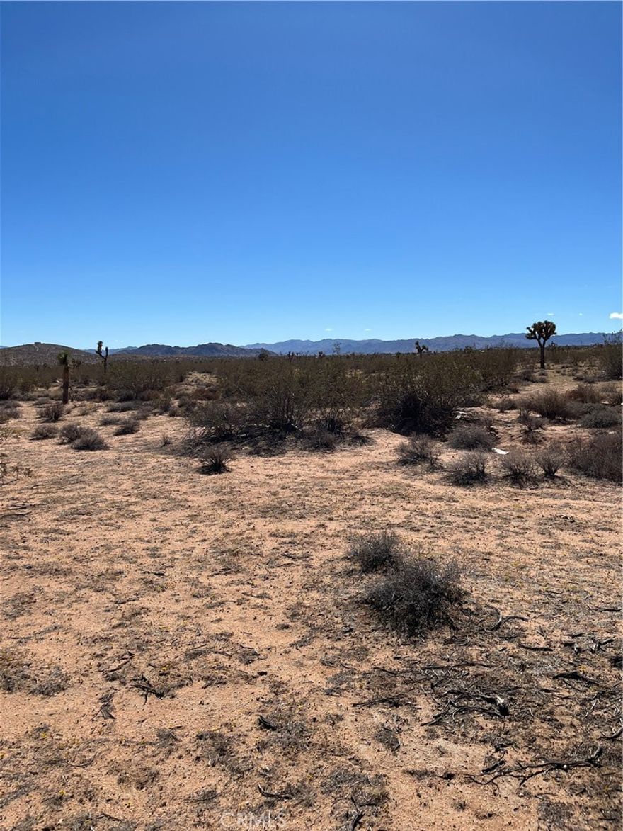 9.04 ACRES on paved road in landers. What a great property to build your dream home. Property is level and lots of room to build with few Joshua Trees to interfere with building. 2 homes directly across the street, So water is available, and Electrical pole also directly across the street with transformer. Lots of possibilities with this parcel of land. Drive by.