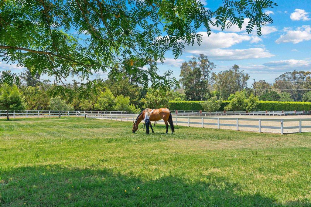 Rancho Santa Fe - Residential