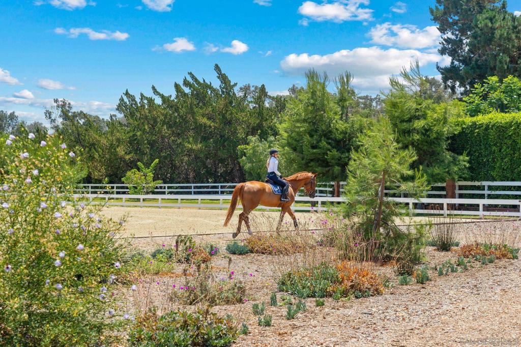Rancho Santa Fe - Residential