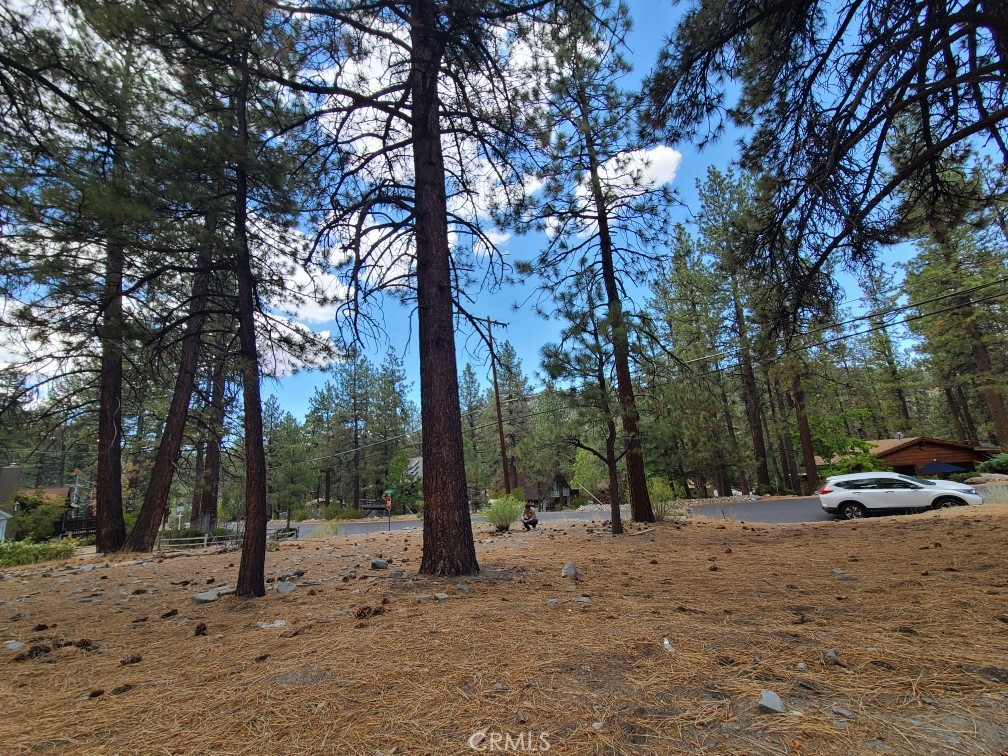 0 Lodgepole Drive
