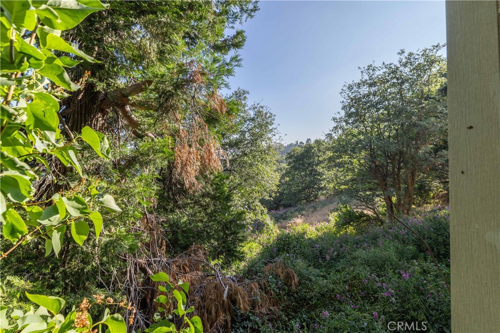 Sky Forest (SKYF) - Residential