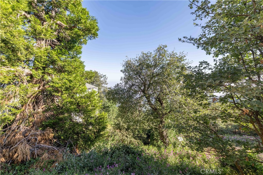 Sky Forest (SKYF) - Residential