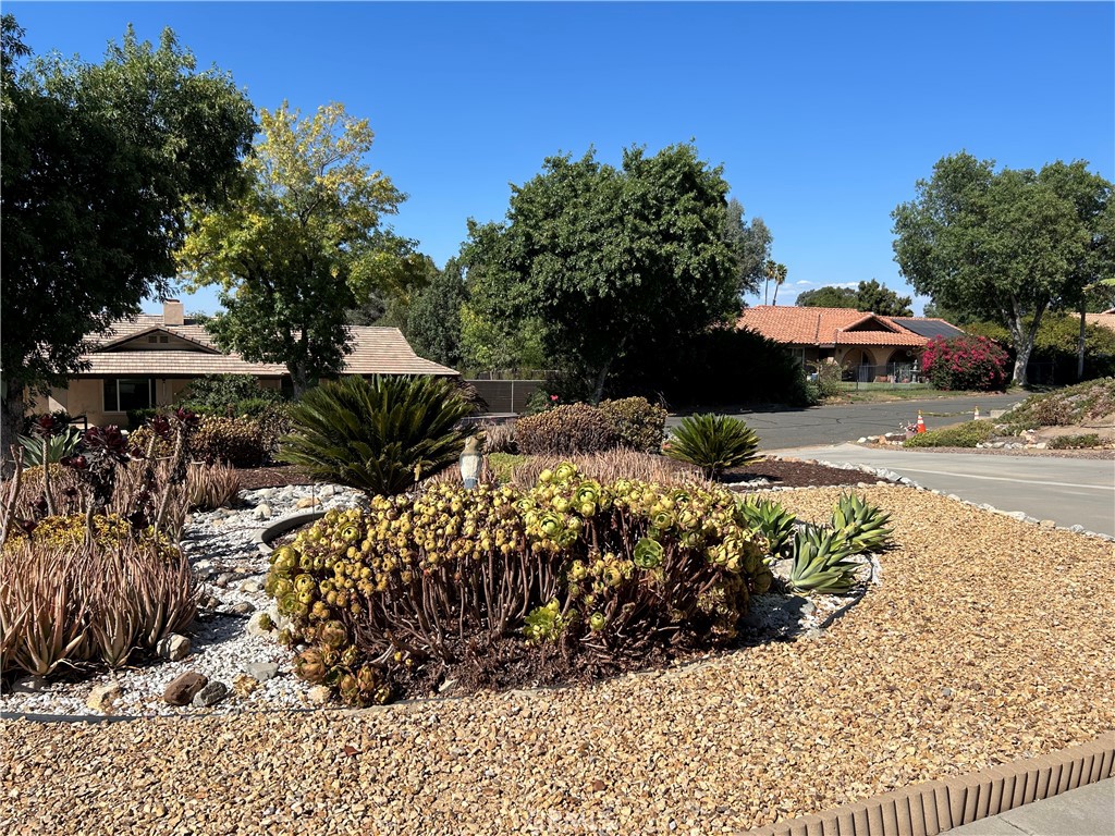 17531 Calle Del Corral
