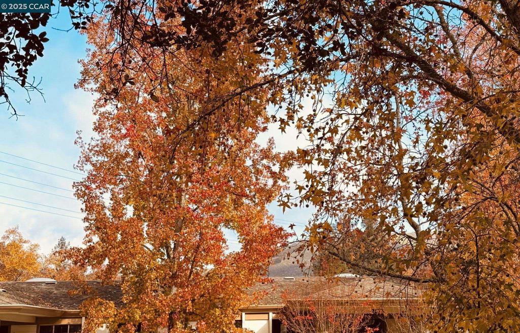 ROSSMOOR - Residential