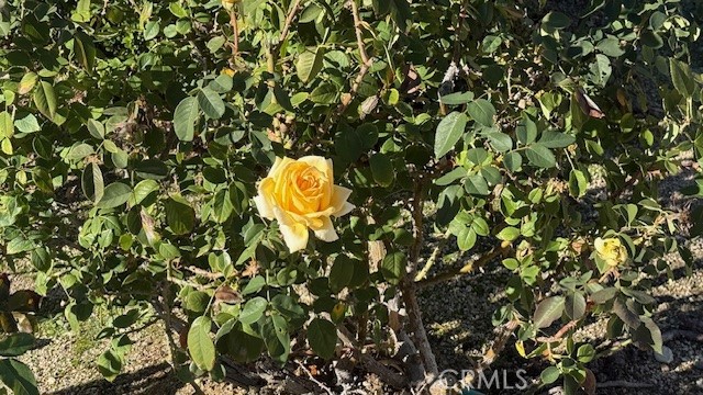 Brock Canyon (BKCN) - Residential