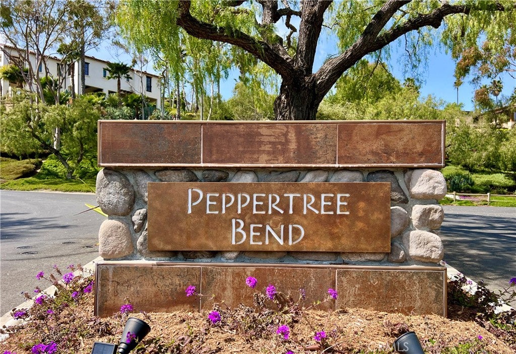 31641 Peppertree Bend, San Juan Capistrano CA 92675 - Photo 15