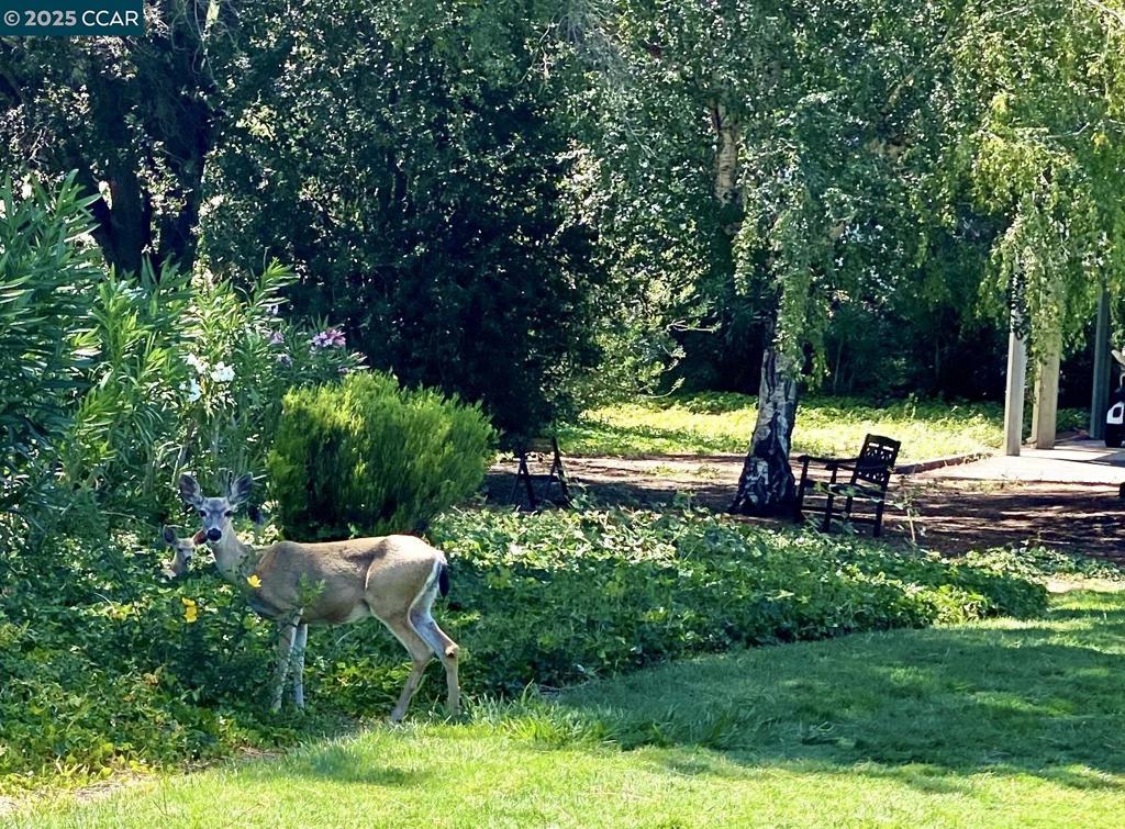 ROSSMOOR - Residential