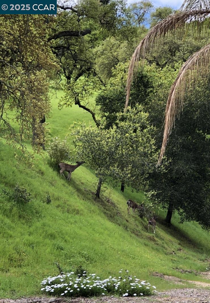 ROSSMOOR - Residential