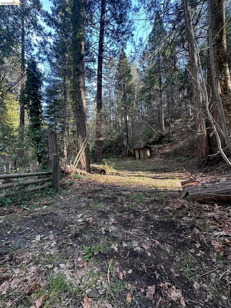 22895 S Fork Rd.