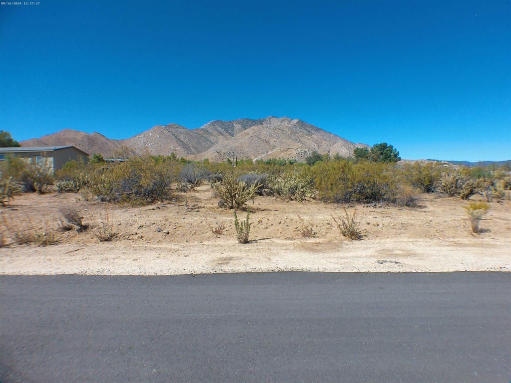 listing image 130724338814102313705