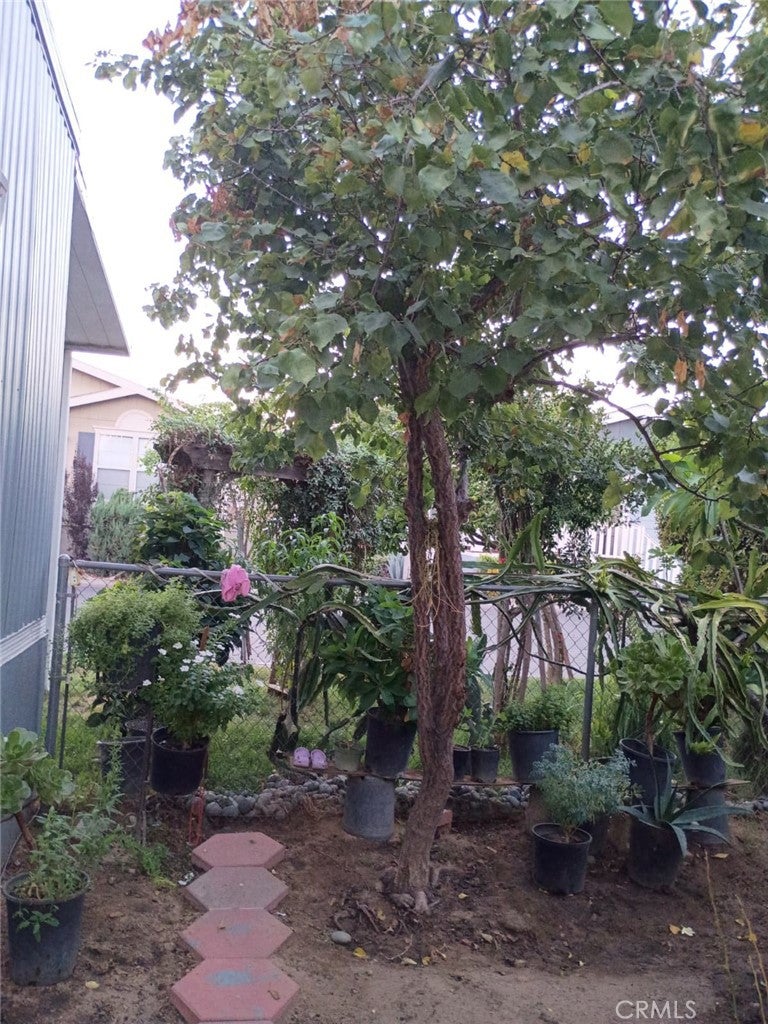 26245 Baseline 41