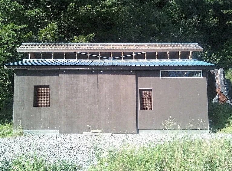 203 Pine Lane