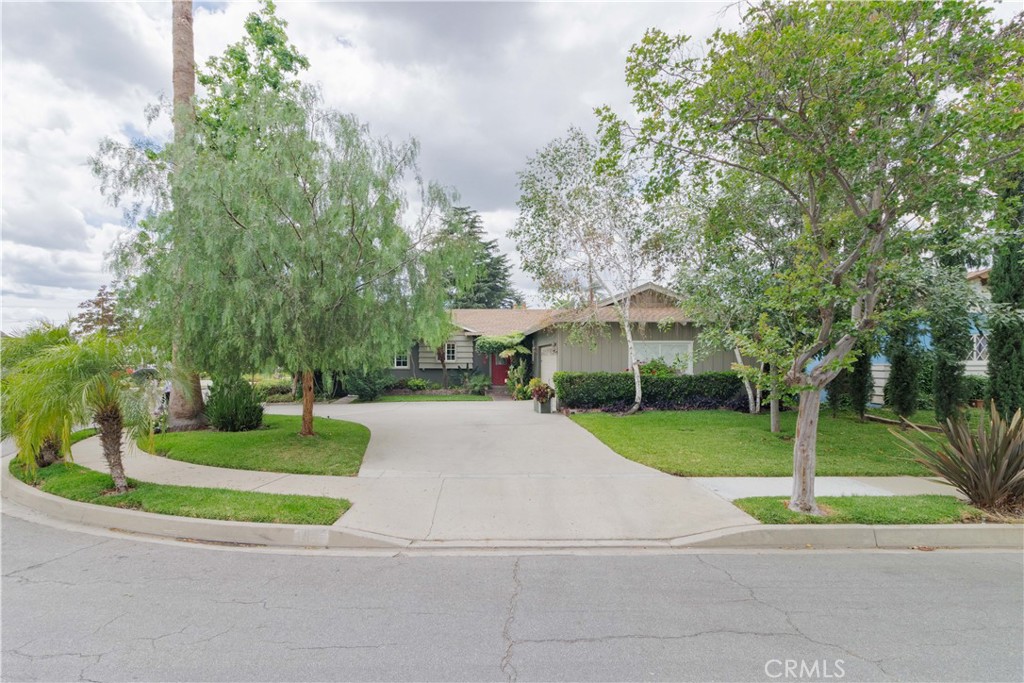 151 College Way