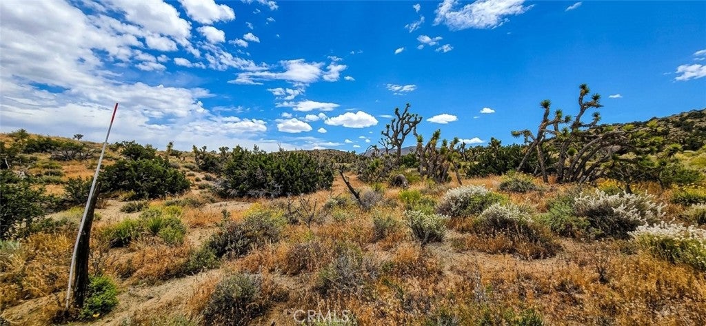 8900 Bainard Canyon Road