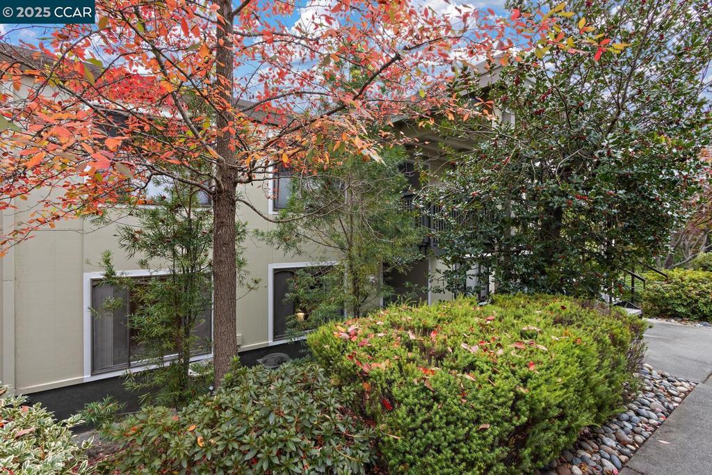 ROSSMOOR - Residential