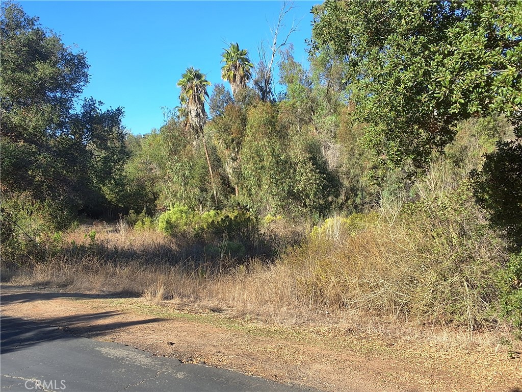 0 Via Puerta Del Sol