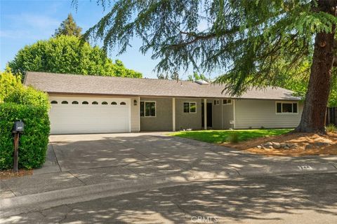 Photo of 744 Kings Canyon Way, Chico, CA 95973 (MLS # SN26074818)