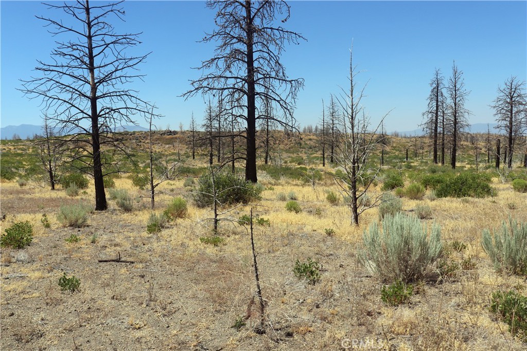 0 Juniper Valley Drive