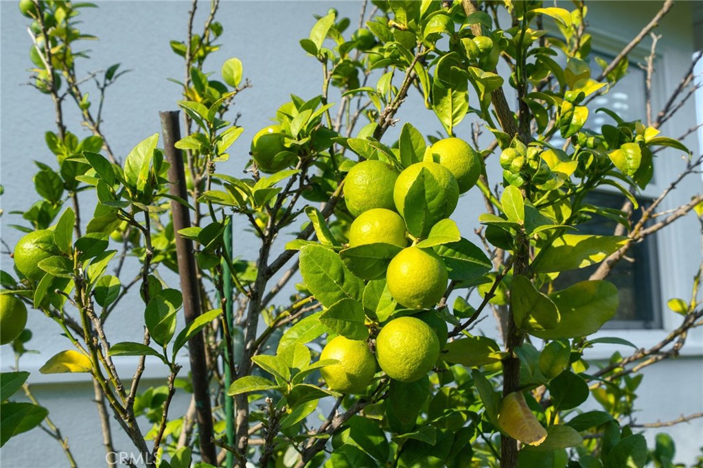 Santa Ana Heights Residential (SAHR) - Residential