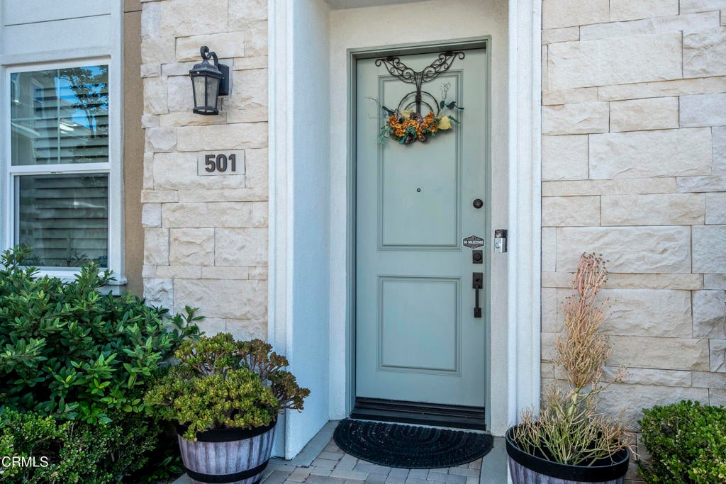 501 Winchester Drive