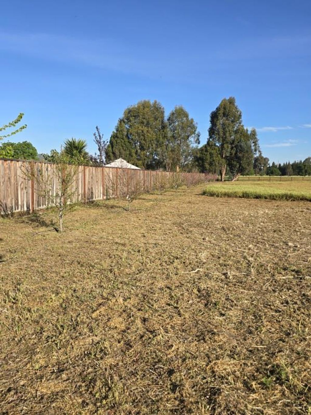 Photo of 45 Roosevelt Avenue, San Martin, CA 95046 (MLS # ML82038845)