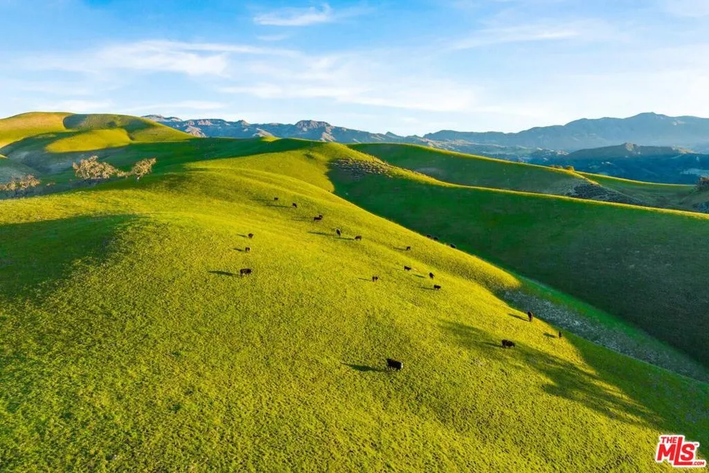 Santa Ynez, California 93460, United States, 45 Bedrooms Bedrooms, ,46 BathroomsBathrooms,Residential,Active,234760